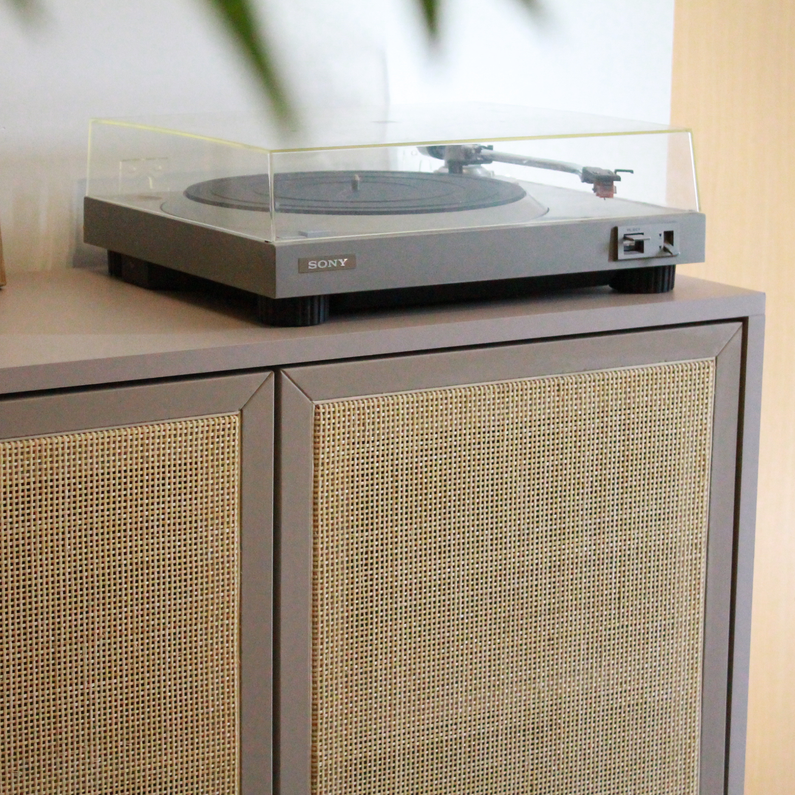 VAJILLERO CANE / M / SAHARA - Image 4